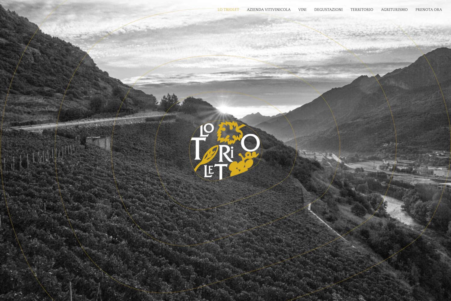 Lo Triolet - Visamultimedia