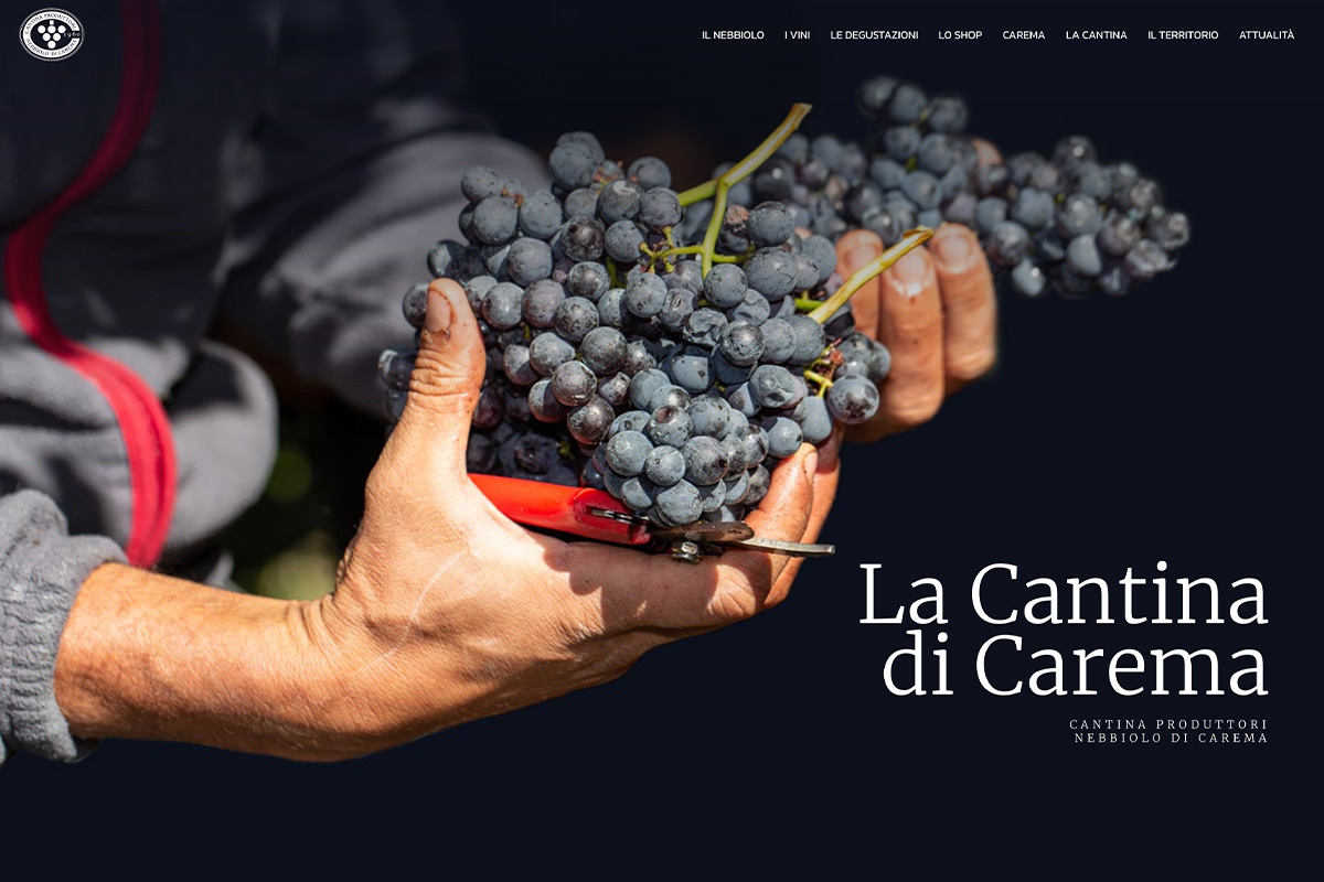 Carema DOC - Visamultimedia